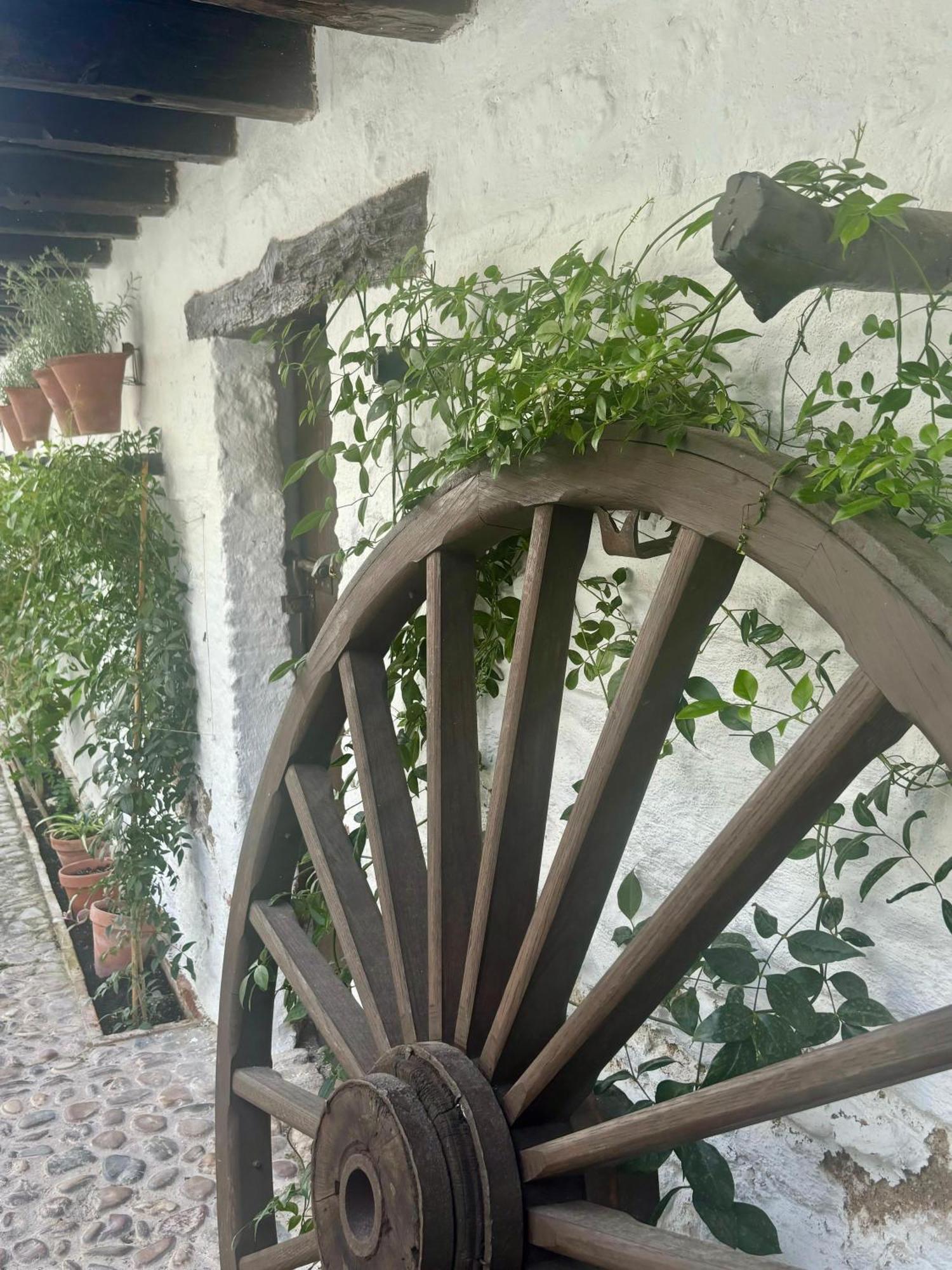 La Buganvilla De Santiago コルドバ エクステリア 写真