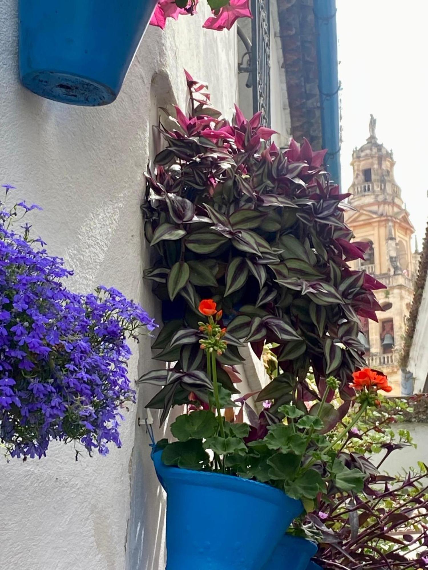 La Buganvilla De Santiago コルドバ エクステリア 写真