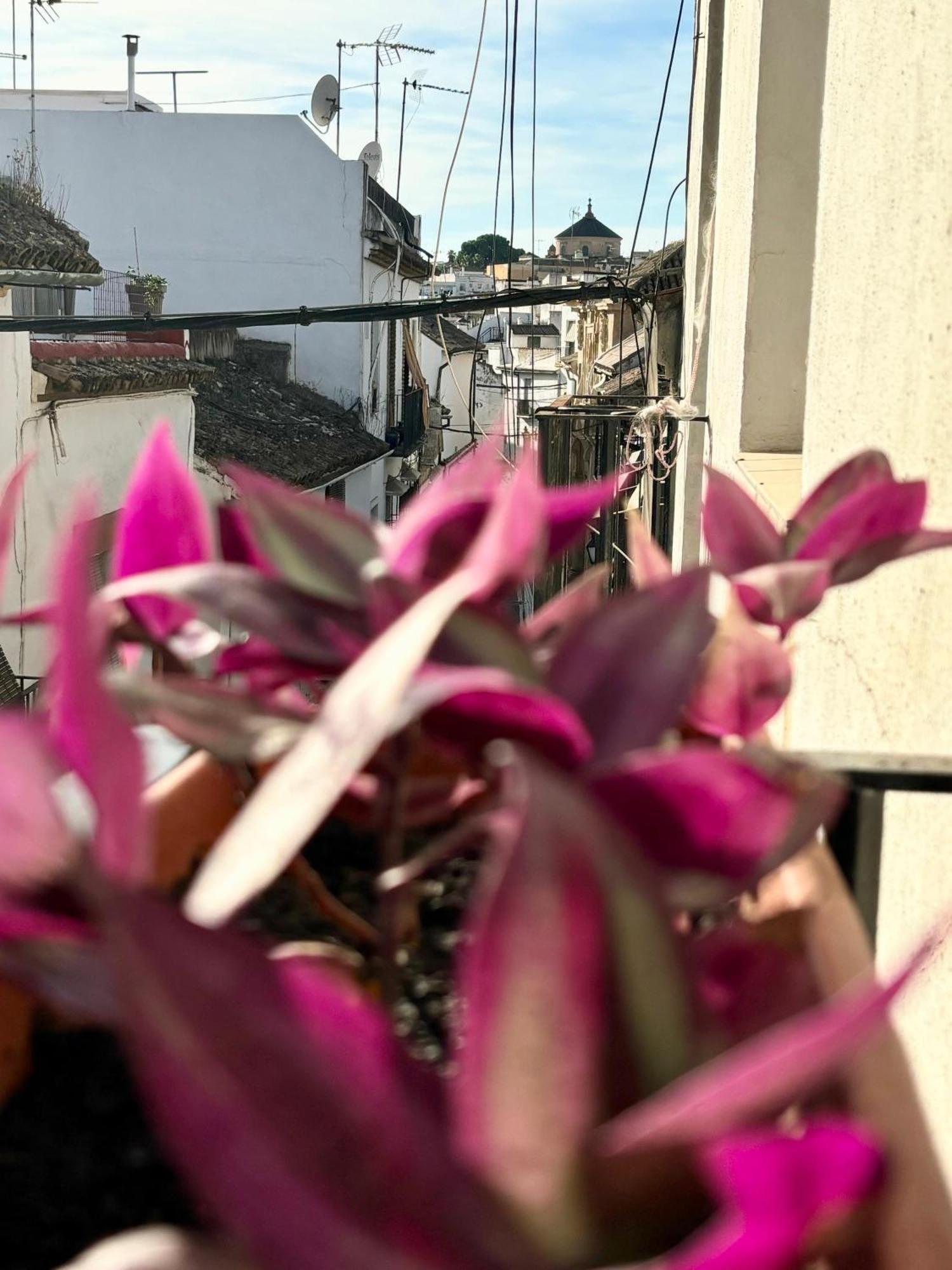 La Buganvilla De Santiago コルドバ エクステリア 写真