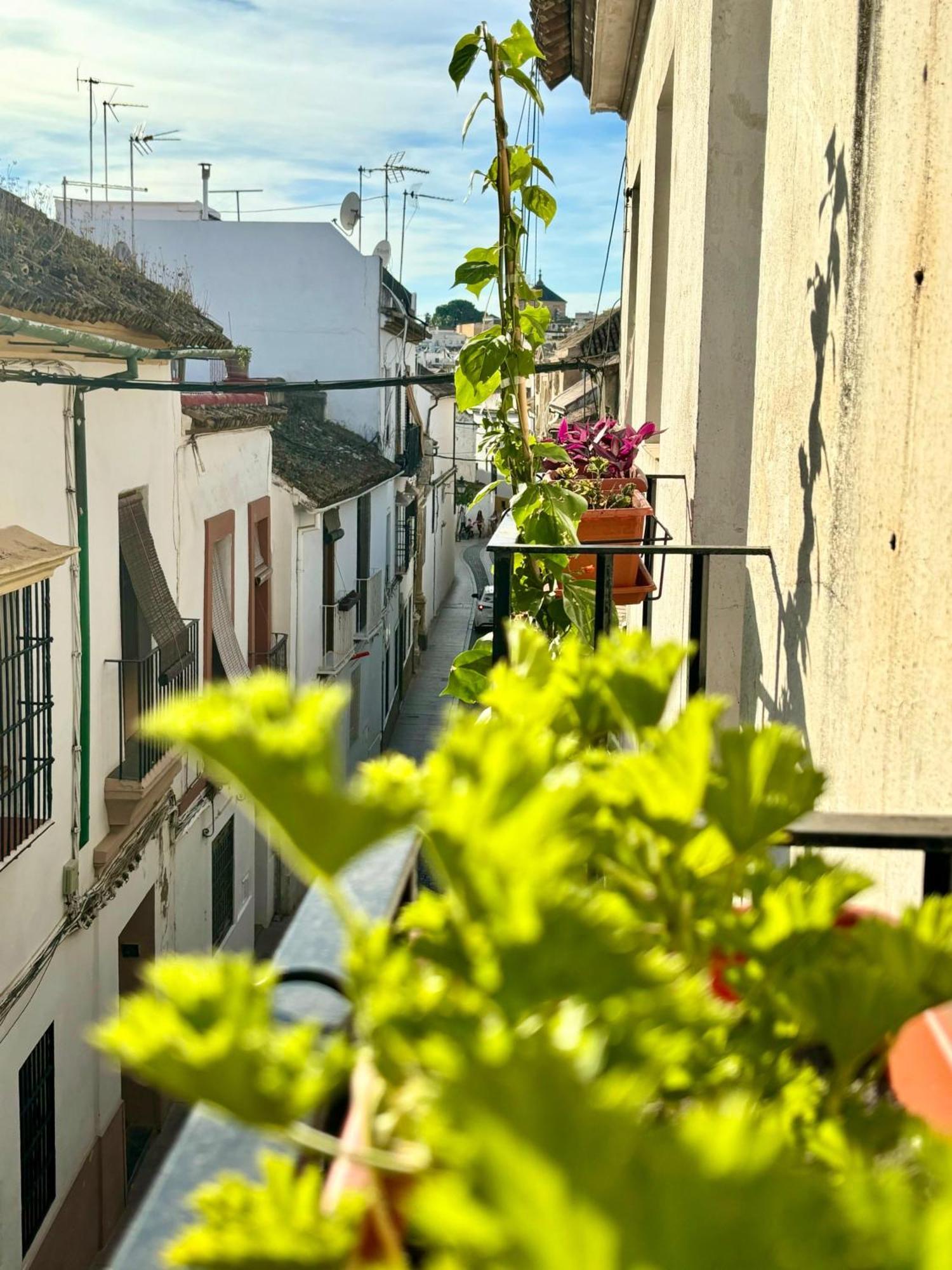 La Buganvilla De Santiago コルドバ エクステリア 写真